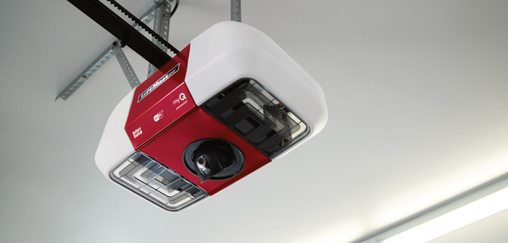 liftmaster garage door motor repair in Venice